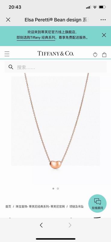 Tiffany necklace 04lyx134